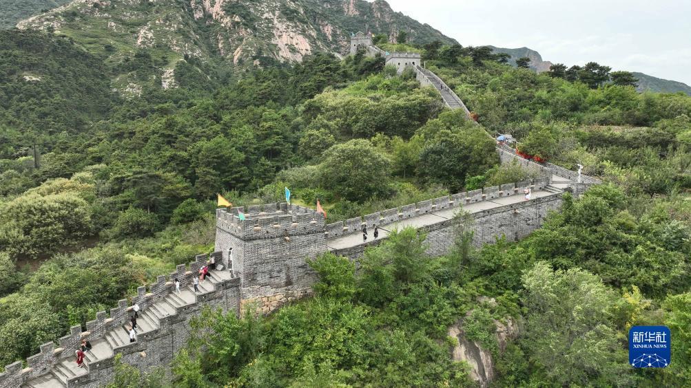 糖果派对满屏紫
